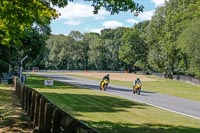 brands-hatch-photographs;brands-no-limits-trackday;cadwell-trackday-photographs;enduro-digital-images;event-digital-images;eventdigitalimages;no-limits-trackdays;peter-wileman-photography;racing-digital-images;trackday-digital-images;trackday-photos